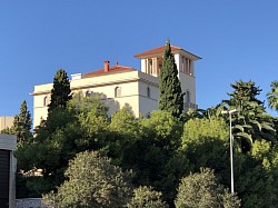 Palma