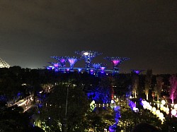 Garden by the Bay