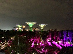 Gardens by the Bay