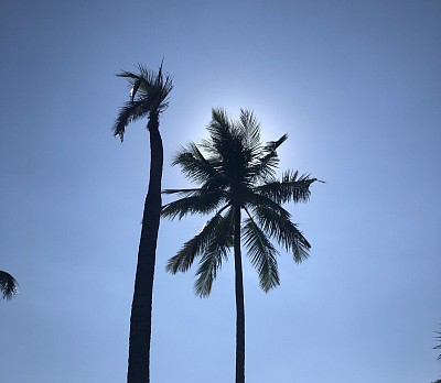 Ayara Villas