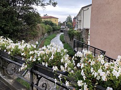 Garda