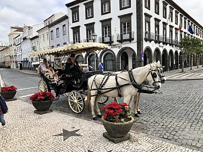 Ponta Delgada