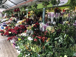 Blumenmarkt